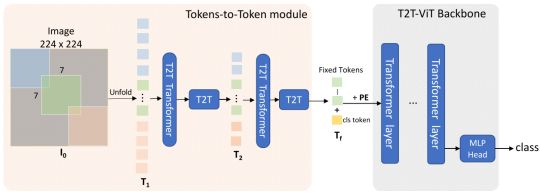 Network Architecture Design: CNN Based and Transformer Based