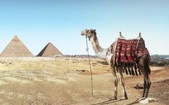 A Small Change: CNN Input from Fixed to Variable Image Sizes
