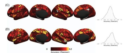 Cerebral Cortex: A Psychometric Prediction Framework for Brain-Behavior Relationships