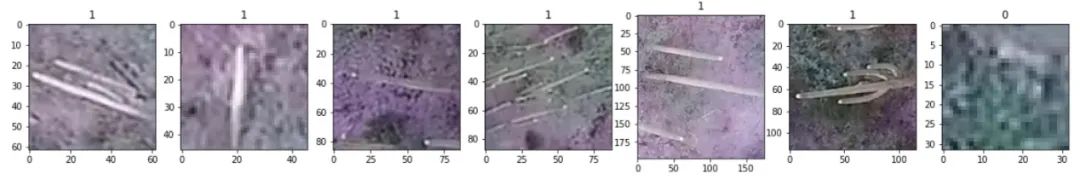 Cactus Image Classification Based on Convolutional Neural Networks (CNN)