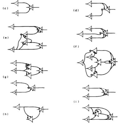 The Evolution of Artificial Neural Networks: 80 Years of Breakthroughs