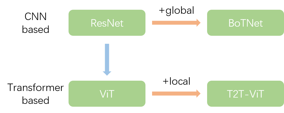 Network Architecture Design: CNN Based and Transformer Based