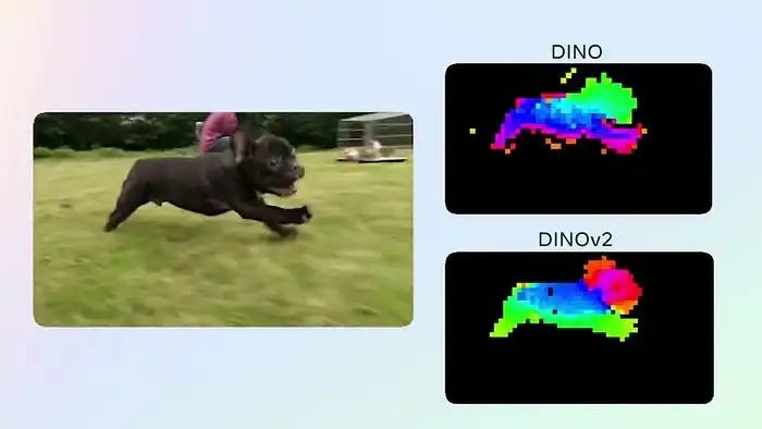 Building DINO Model and PyTorch from Scratch: Self-Supervised Vision Transformer