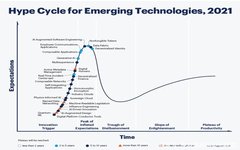 What Is the Emergence of Large AI Models?