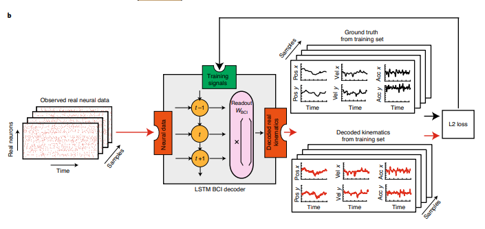 Using GANs to Improve Brain-Machine Interfaces for Disabled Individuals