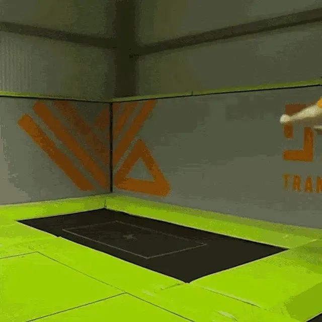 What Kind of Robotic Large Models Do We Need?