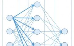Master Neural Networks in One Article