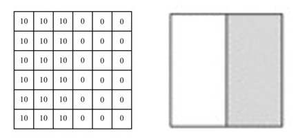 Visual Explanation of Neural Networks in Deep Learning