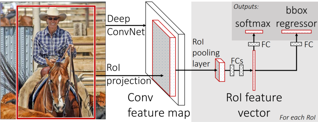 Introduction to Object Detection in Image Processing