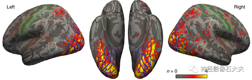 Reconstructing Faces from fMRI Patterns Using Deep Generative Neural Networks