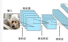 Understanding Convolutional Neural Networks (CNN)