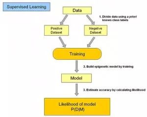 17 Common Algorithms in Machine Learning