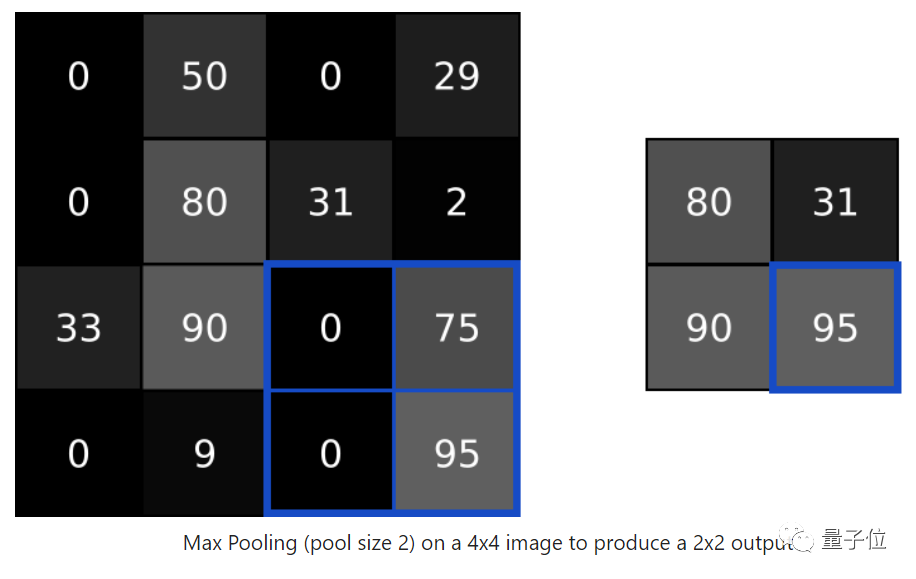 Introduction to CNNs: A Beginner's Guide to Machine Learning