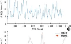 Dynamic Blood Sugar Prediction Based on LSTM Neural Networks
