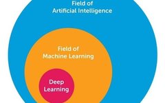 The Development History of Neural Networks