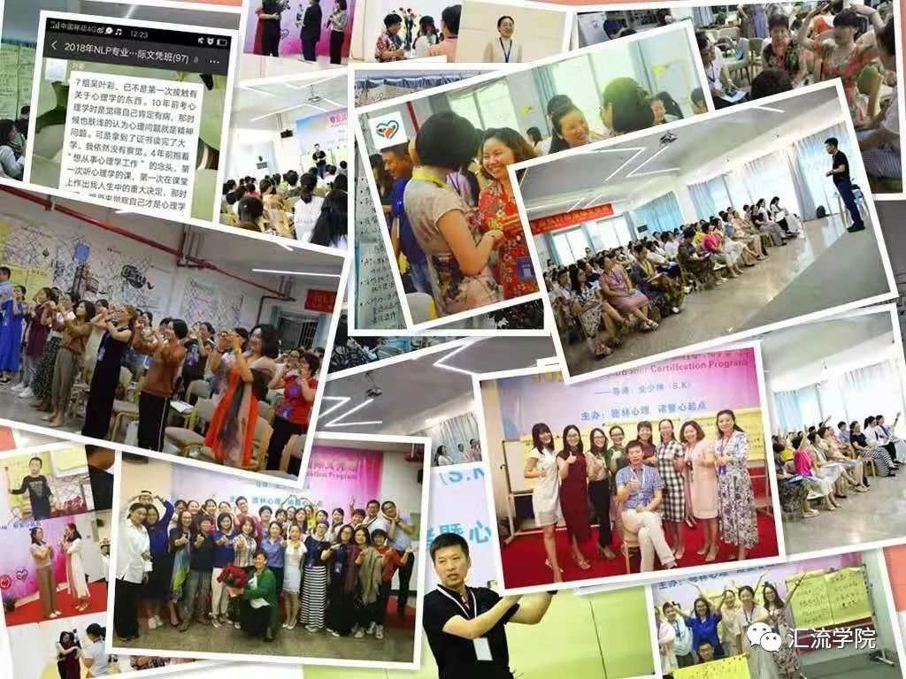 Systematic Study of NLP Practitioners