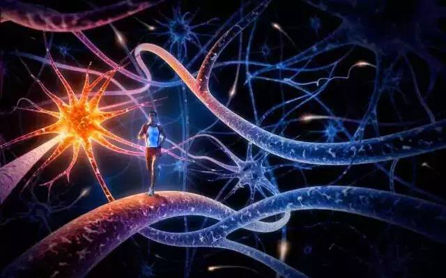 Fundamentals of Neural Networks