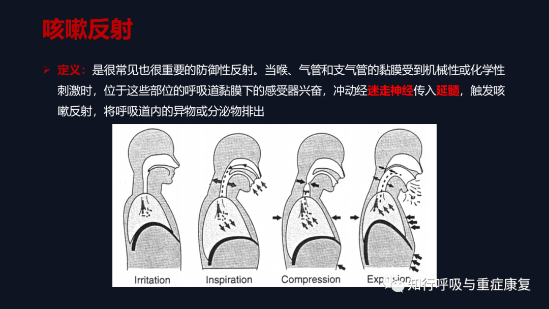 Airway Clearance Techniques - Physiological Basis