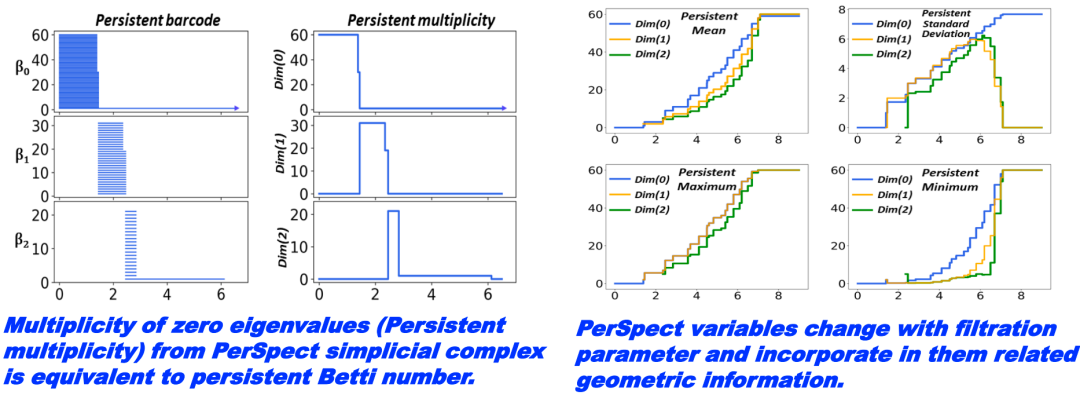 When Machine Learning Meets Topology: Topological Data Analysis and Topological Deep Learning