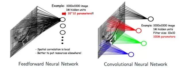 Understanding Neural Networks: A Comprehensive Guide