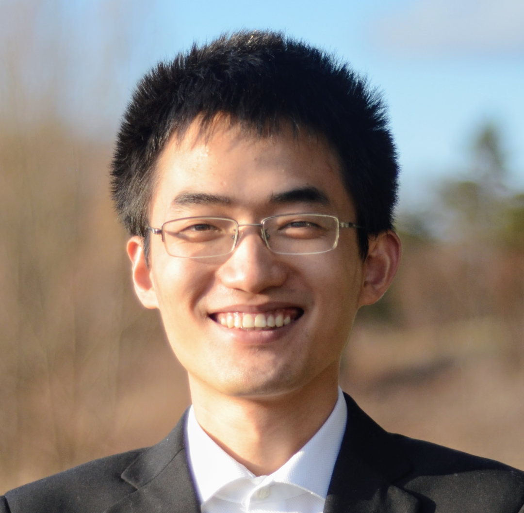 Exploring AI Interpretability in Medicine through Traditional Chinese Medicine