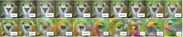Essential Readings in Computer Vision: Tracking, Compression, Classification, and Recognition
