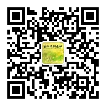 Study on a Novel Mini Genome Editing System Based on Csy4 and MCP