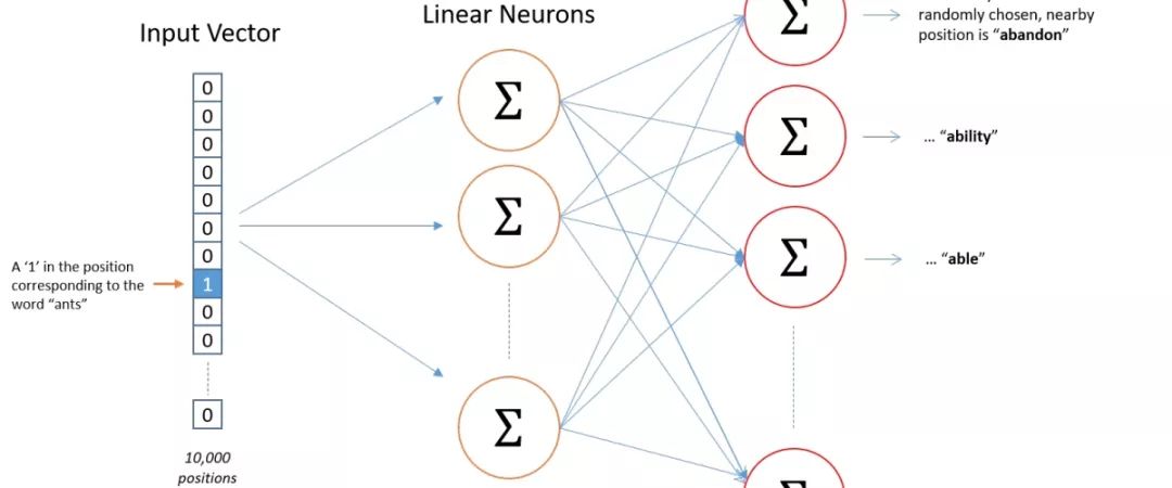 Implementing Skip-Gram Model with TensorFlow