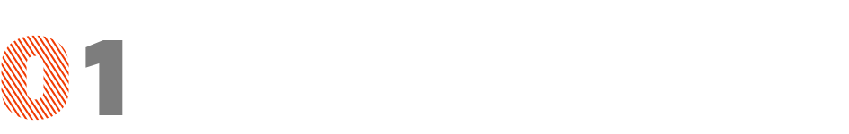 Summary of BERT-Related Models