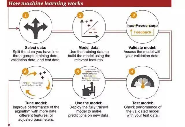 Understanding Machine Learning: Concepts, Schools, and Algorithms