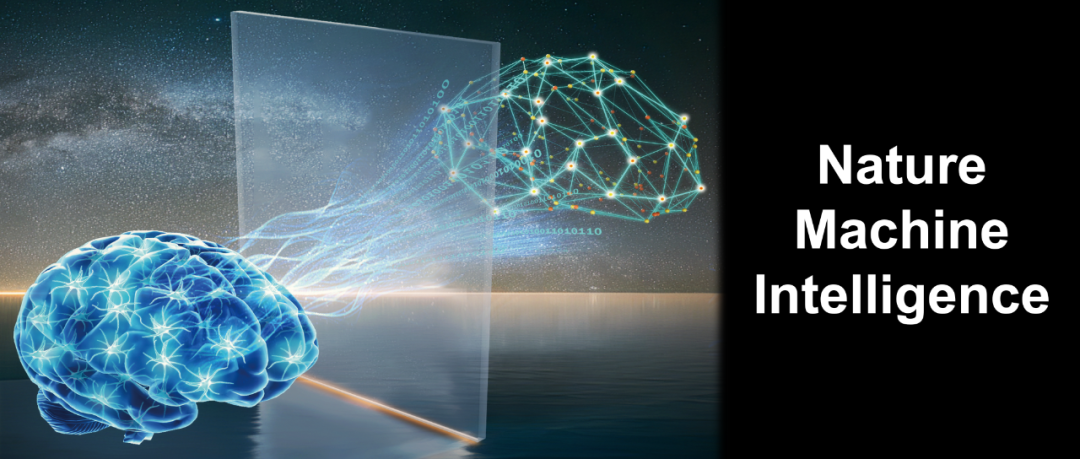 Training Large-Scale Photonic Neural Networks