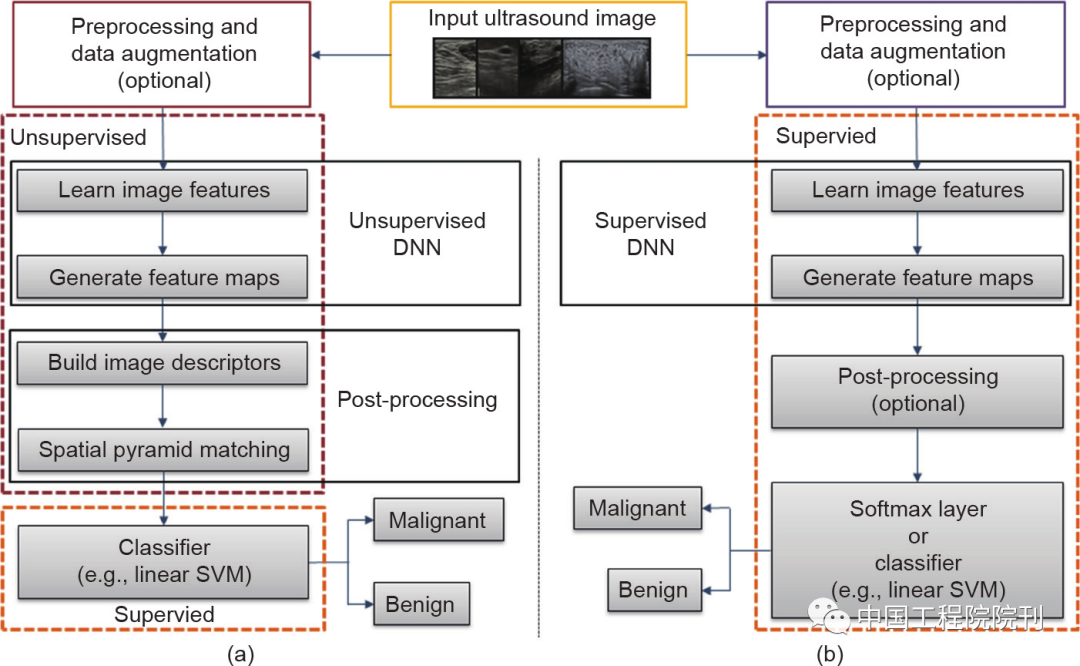 Deep Learning Applications in Medical Ultrasound Image Analysis