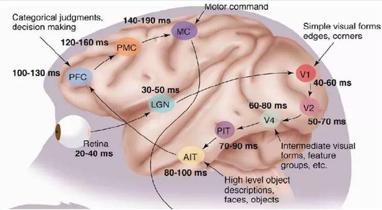 In-Depth Explanation of Deep Learning