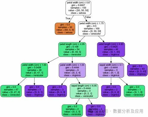 In-Depth Analysis of Major Machine Learning Models