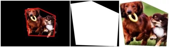 Differences Between Image Processing, Computer Vision, and AI
