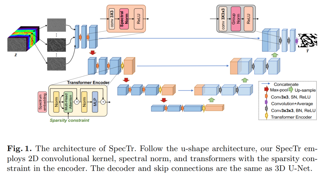 When Transformer Meets U-Net: A Review of Medical Image Segmentation