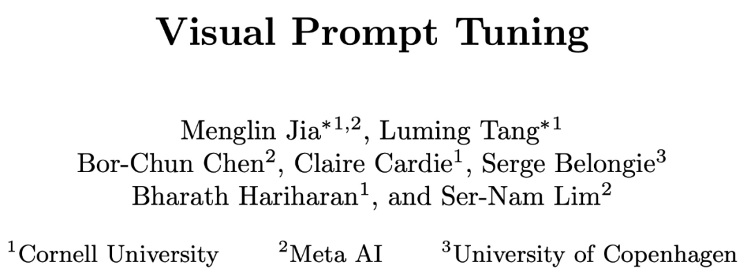 New Visual Prompt Method for Transformer Optimization
