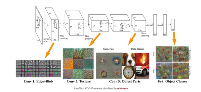 Differences Between Image Processing, Computer Vision, and AI
