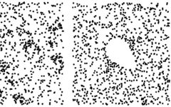 The Holy Trinity of Topological Machine Learning: Gudhi, Scikit-Learn and Tensorflow