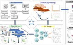 Highly Versatile Machine Learning Methods for Predicting Perovskite Properties