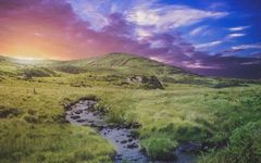 Understanding the XGBoost Algorithm