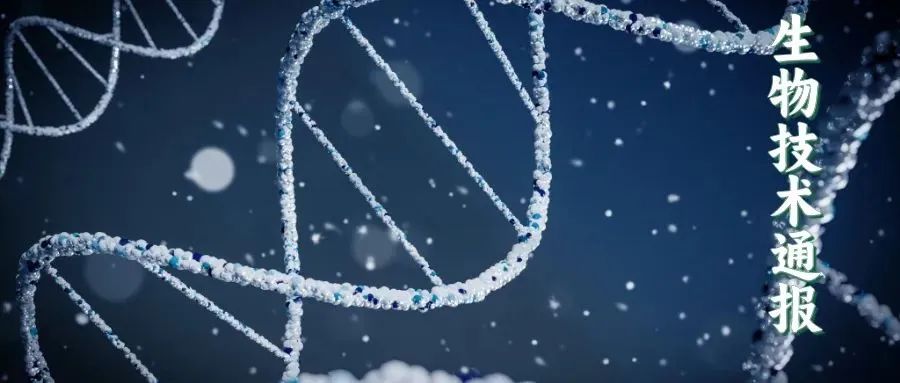 Study on a Novel Mini Genome Editing System Based on Csy4 and MCP