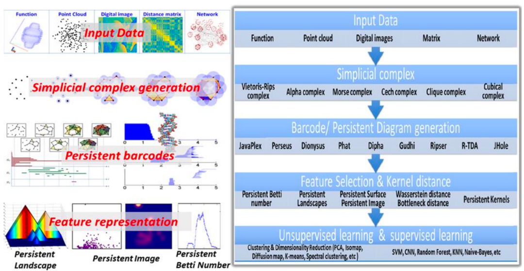 When Machine Learning Meets Topology: Topological Data Analysis and Topological Deep Learning