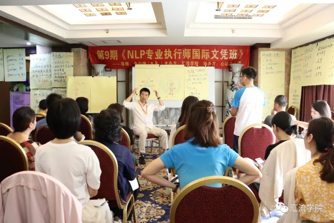 Systematic Study of NLP Practitioners