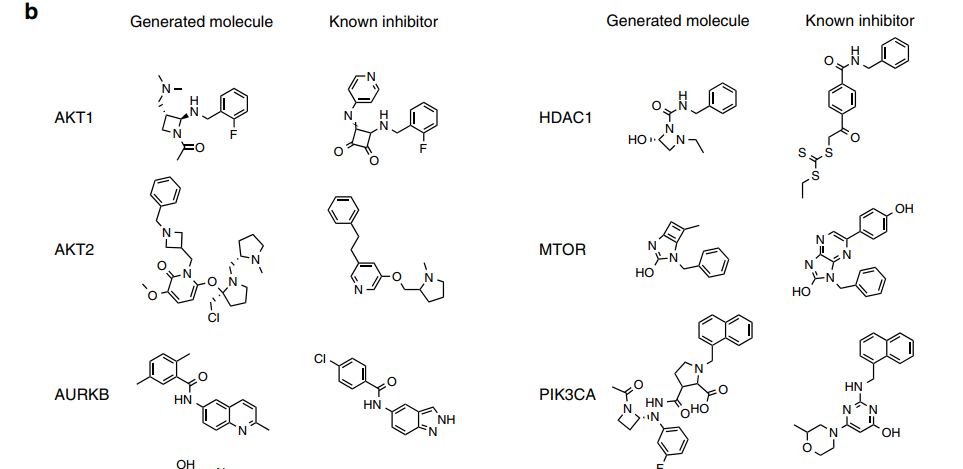 Conditional GAN Network and Gene Expression Features for Hit Compound Discovery