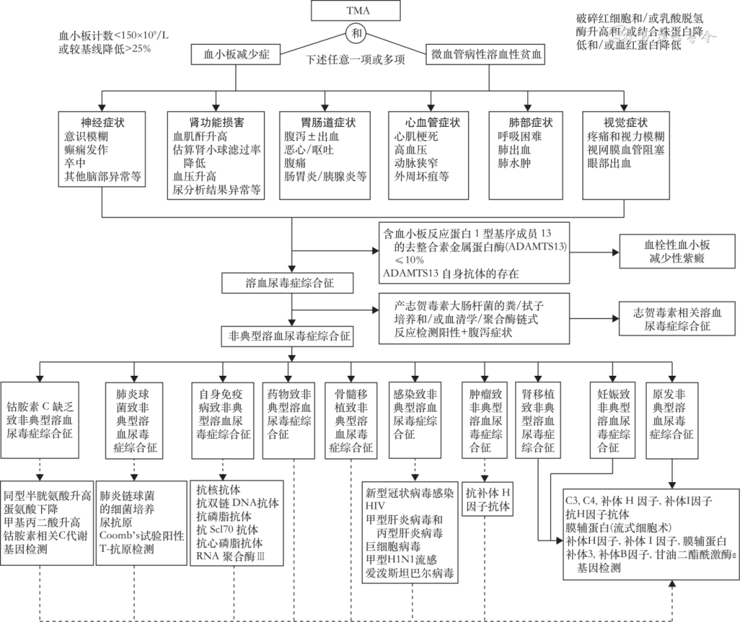 Expert Consensus on Diagnosis and Treatment of Complement-Related Kidney Disease