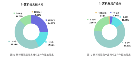 2021 China Computer Vision Talent Research Report