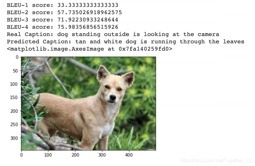 Implementing Attention Mechanism for Caption Generation Using TensorFlow on Transformers