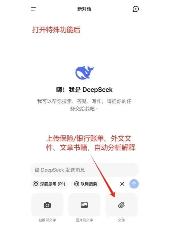 DeepSeek Simplified User Guide