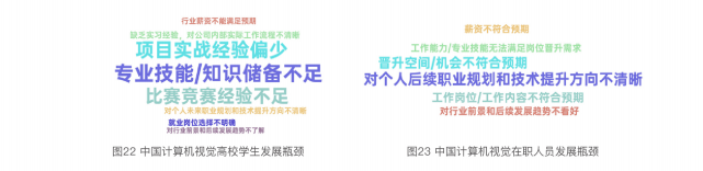 2021 China Computer Vision Talent Research Report